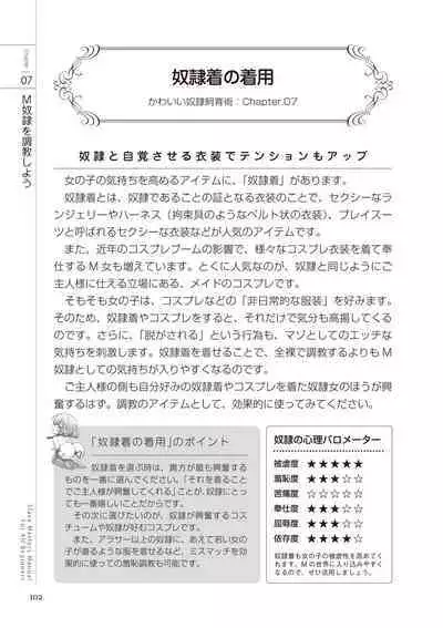 Zero kara Hajimeru SM Manual Kawaii Dorei Shiikujutsu