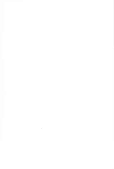 [DummyUsagi (Nijino Okayu)] Mugen-sama, Dou ka Otawamure o (The Legend of Hei) [Chinese] [迷幻仙域x新桥月白日语社汉化]