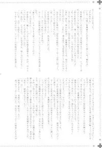 (C72) [EGOISM (Kasukabe Akira, Torigoshi Yayoi)] MANIAC JOB SYSTEM (Final Fantasy XII)