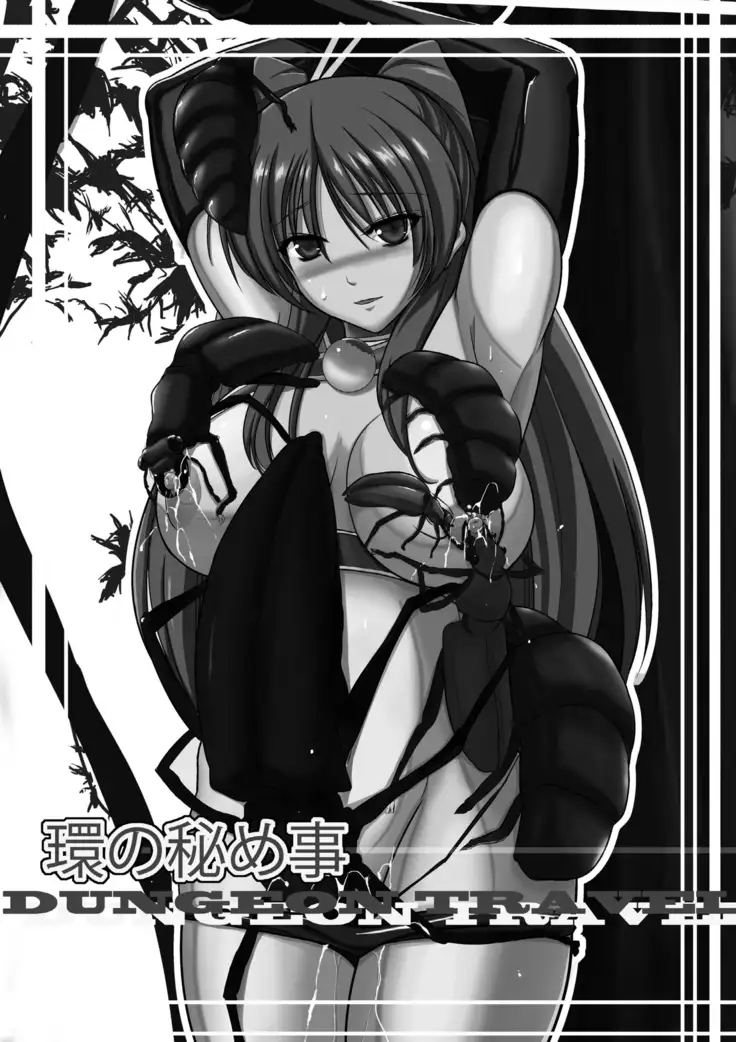 Dungeon Travelers Soushuuhen