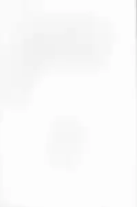 (Ginban no glory 0.5) [Hitobankoneko (Nanatsu Nemu)] Kin Neko Patience (Yuri on Ice)