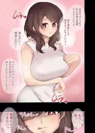 (futa-works) Seiyoku o osae rarenai ane ni toshishita otōto ga teisō o ubawa reru hanashi