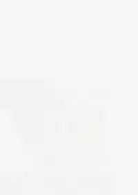 (C93) [Booblian (BTtamako)] Takao-san wa Haitenai (Azur Lane)