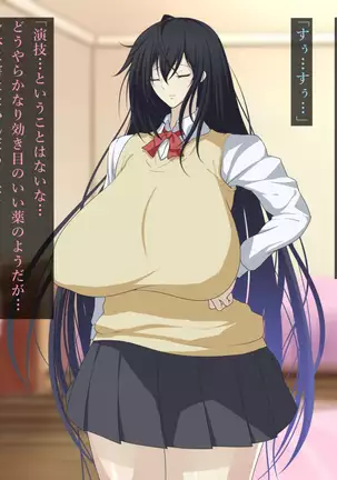 Fuuki Iinchou Akizuki Ryuuka no Netorare Choukyou Nisshi