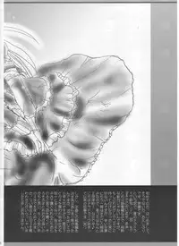 (C62) [TERRA DRIVE (Tiera)] SOLID STATE archive 1 (Martian Successor Nadesico)