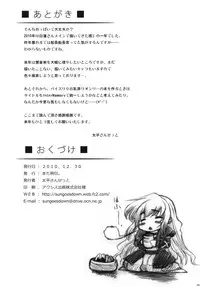 (C79) [Mata Ashita. (Oohira Sunset)] Inter Mammary 2 -Inverted- (Touhou Project)