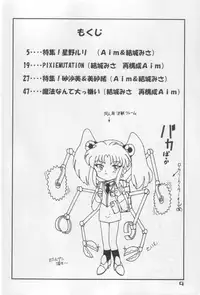 (C55) [Marukane Teikoku (AIM, Yuuki Misa)] TWINTAIL PROJECT (Mahou Shoujo Pretty Sammy, Martian Successor Nadesico)