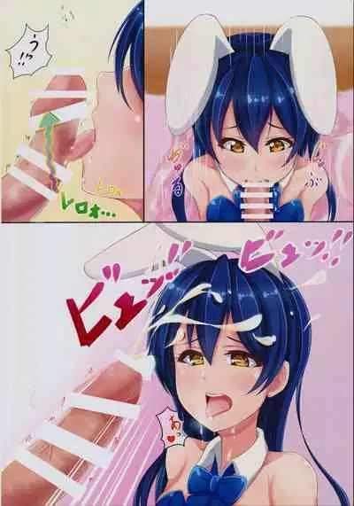 UMI BUNNY