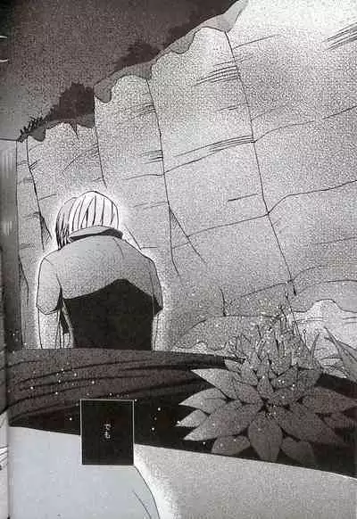 Final Fantasy 13 Fan book (cranberry hearts)