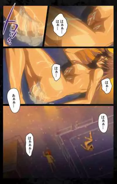 DARK SHELL ori no naka no tsuya kanzenhan