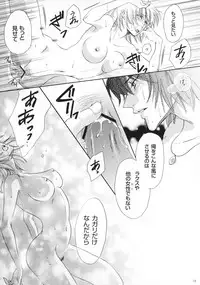 (C70) [Purincho. (Purin)] Luce (Mobile Suit Gundam SEED, Mobile Suit Gundam SEED DESTINY)