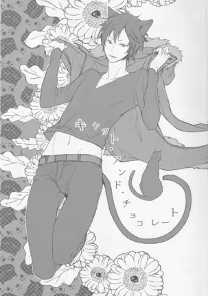 Cat&Chocolate - Durarara doujinshi Japanese