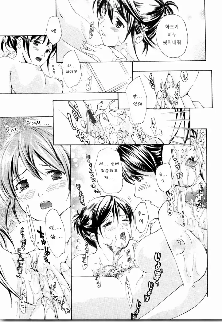 Shoujo Seiiki - Girl's Sanctuary