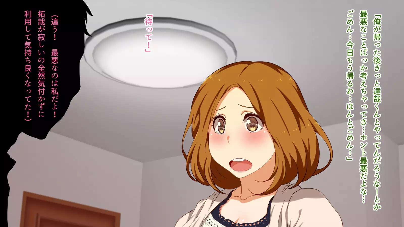 Watashi wa Korekara mo, Kitto Anata ga Suki.