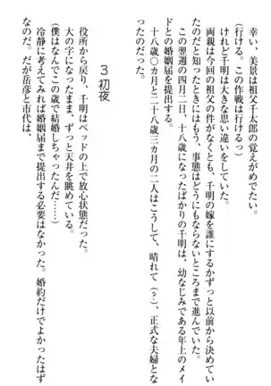年上メイドの新婚日記