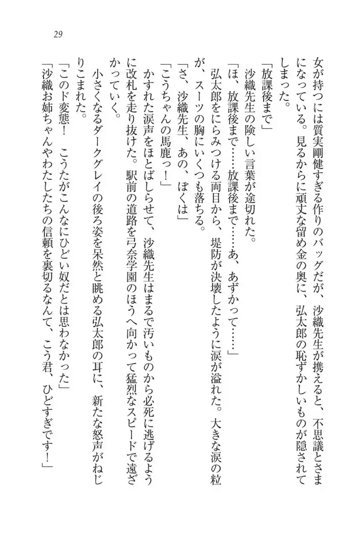 ボクだけのせんせい姉妹