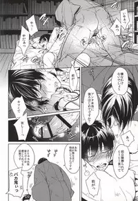 (Jigoku no Tomoshibi 5) [FIZZCODE (Satonishi)] Ano Shinjuu ga Hitokawa Mukete Inakatta Ken ni Tsuite (Hoozuki no Reitetsu)