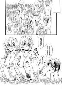 (C85) [Hi-per Pinch (clover)] N (IS <Infinite Stratos>) [Chinese] [final個人漢化]