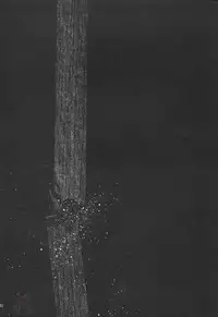 (CR37) [Studio Kimigabuchi (Kimimaru)] Negimaru! 3 (Mahou Sensei Negima!) [English] [SaHa]