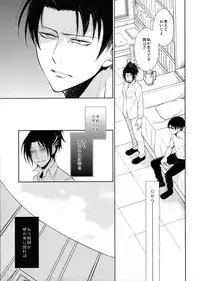 (C90) [RIX (Mamiya)] Ten ni Habataita Sono Ato mo (Shingeki no Kyojin)