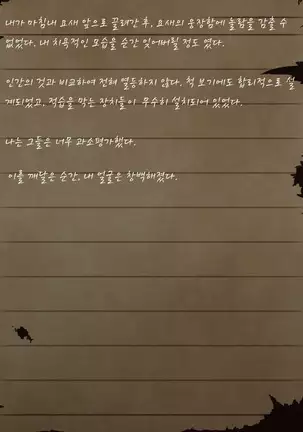 Sage Lavinia's Last Note ~ In the ruin of orc fort ~