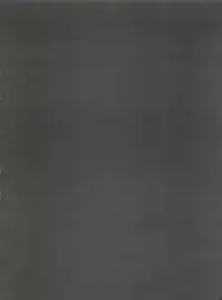 (C55) [Studio Kimigabuchi (Entokkun)] Keep the Faith (Kare Kano, Saber Marionette J, Mamotte Shugogetten!)