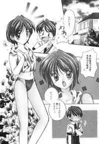 [Usami Wataru] Heartfull Pink