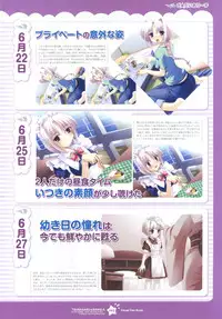 Tsunagaru Bangle - Visual Fan Book