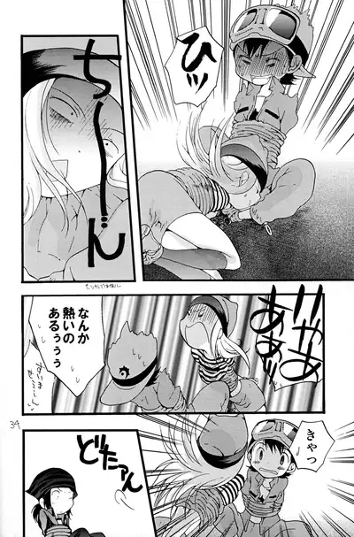 (C62) [Tomato Surprise (Futtsu Misaki)] Your Eyes Only (Digimon Frontier)