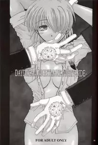 (C63) [NEKOYAGAKKITEN+Brough-Superior (Tsujisaki Sou)] Daydream, Nightmare -Night-Side- (Hellsing)