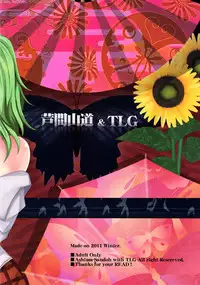 (C81) [Ashima Sandou, TLG (Ashima Takumi, bowalia)] Migi ue Hidari Shita Aiaigasa (Touhou Project)