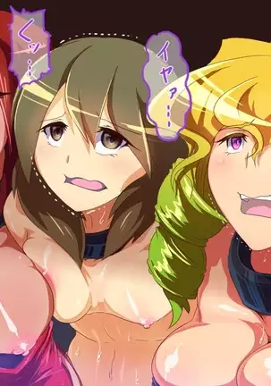 Sage Lavinia's Last Note ~ In the ruin of orc fort ~