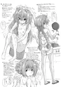 (C80) [Shirando (Shiran Takashi)] Vita Mousou Nikki (Mahou Shoujo Lyrical Nanoha)