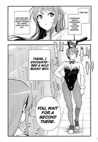 (C95) [Kayoudou (shouka)] Bunny Lovers (Seishun Buta Yarou wa Bunny Girl Senpai no Yume o Minai) [English] [Loligasm]