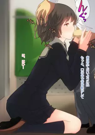 Akutoku Chikan Gekitai Seminar ~Higaisha o Kuimono ni Suru Koushuukai no Jittai~