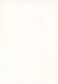 (Mimiket 22) [Nyaa. to Hidamari (Takamoto Akisa)] Neko Yome - Neko no Oyome-san (Touhou Project)