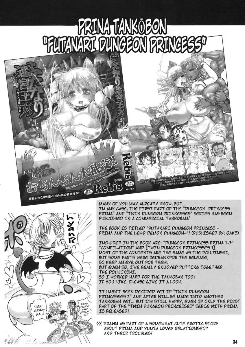 Twin Dungeon-Princesses Vol. 5 / Futari no Meikyuu Oujo 5