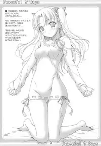 (C67) [Tiny Feather (Sin-Go)] Peaceful ? Days (Fate/stay night)