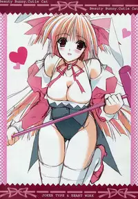 (C71) [Joker Type & Heart-Work (Nishimata Aoi, Suzuhira Hiro)] Beauty Bunny.Cutie Cat