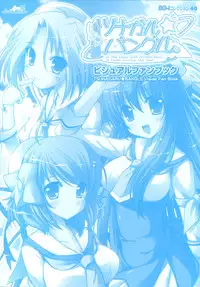 Tsunagaru Bangle - Visual Fan Book