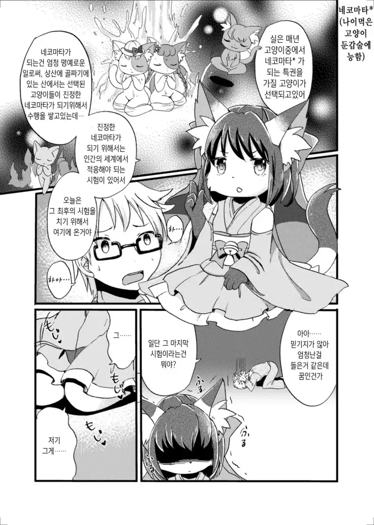 Nekomata no Tamaki-chan