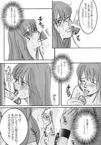 (C66) [DOREI MANIA (Bonoramo, Mai, Sakura Shouji)] THE AMERU (Dragon Quest III)