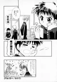 [Usami Wataru] Maple Fool Days