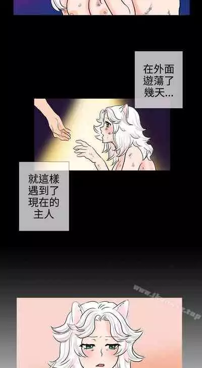 小野貓馴服手冊