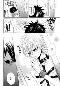 [Anthology] b-BOY Phoenix Vol.10 Odougu Tokushuu