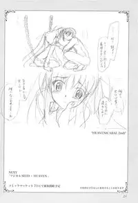 (Lyrical Magical 3) [PLUM (Kanna)] Mahou Shoujo Magical SEED GALAXY (Mahou Shoujo Lyrical Nanoha)