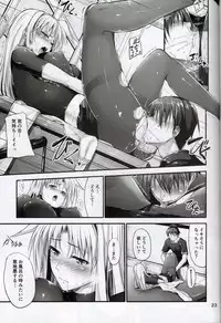 (C84) [IV VA SHIN (Mikuni Mizuki)] Home Sweet Home ~ Fate Hen 5 ~ (Mahou Shoujo Lyrical Nanoha)