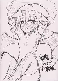 (Aka no Hiroba 7) [Mikkamisaki (Nadzuka)] Kurenai ma no Chipai Ojou-sama (Touhou Project)