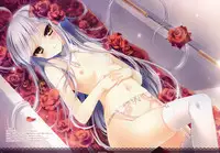 (C87) [Rubi-sama wo Agameru Kai, ARNEB (Rubi-sama, Wori)] PRINCESS DAYS