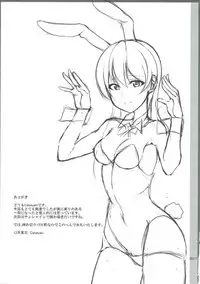 (C91) [iTsukano Cabayaki (Cabayaki)] UMI BUNNY 2 (Love Live!)